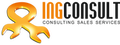 INGCONSULT